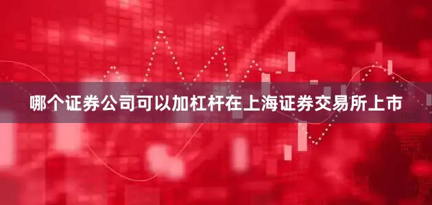 哪个证券公司可以加杠杆在上海证券交易所上市