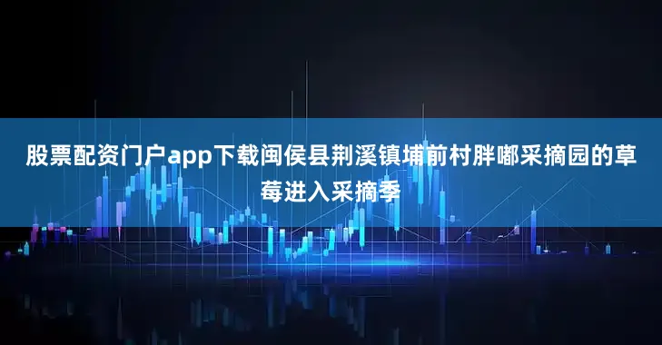 股票配资门户app下载闽侯县荆溪镇埔前村胖嘟采摘园的草莓进入采摘季