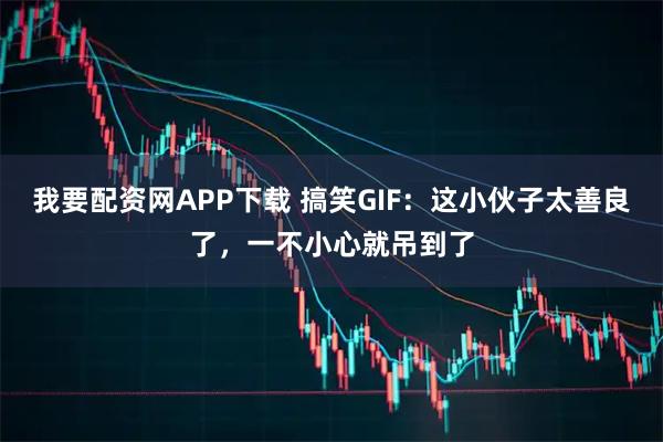 我要配资网APP下载 搞笑GIF：这小伙子太善良了，一不小心就吊到了