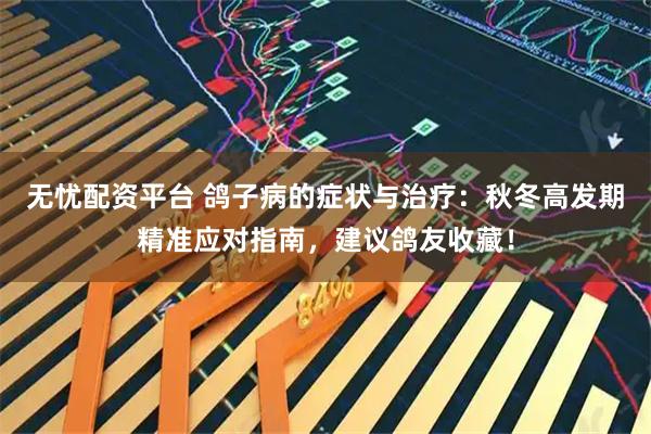 无忧配资平台 鸽子病的症状与治疗：秋冬高发期精准应对指南，建议鸽友收藏！